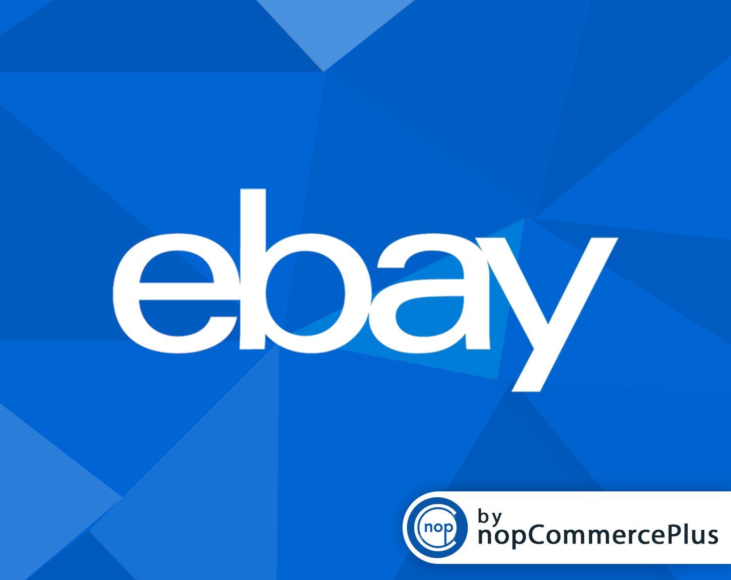 Picture of eBay Integration Plugin
